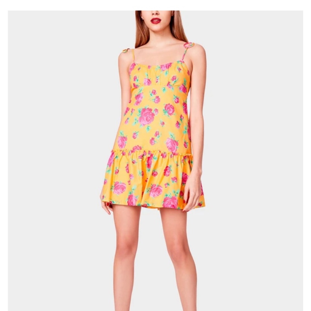Betsy Johnson Floral Dress
